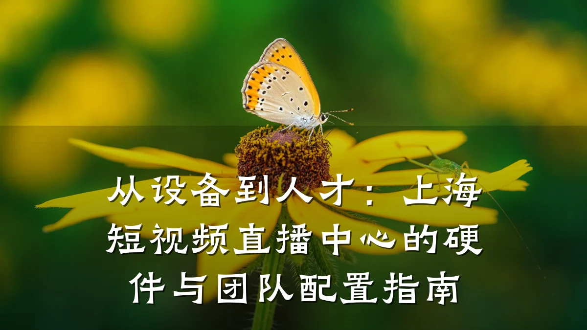 从设备到人才：上海短视频直播中心的硬件与团队配置指南