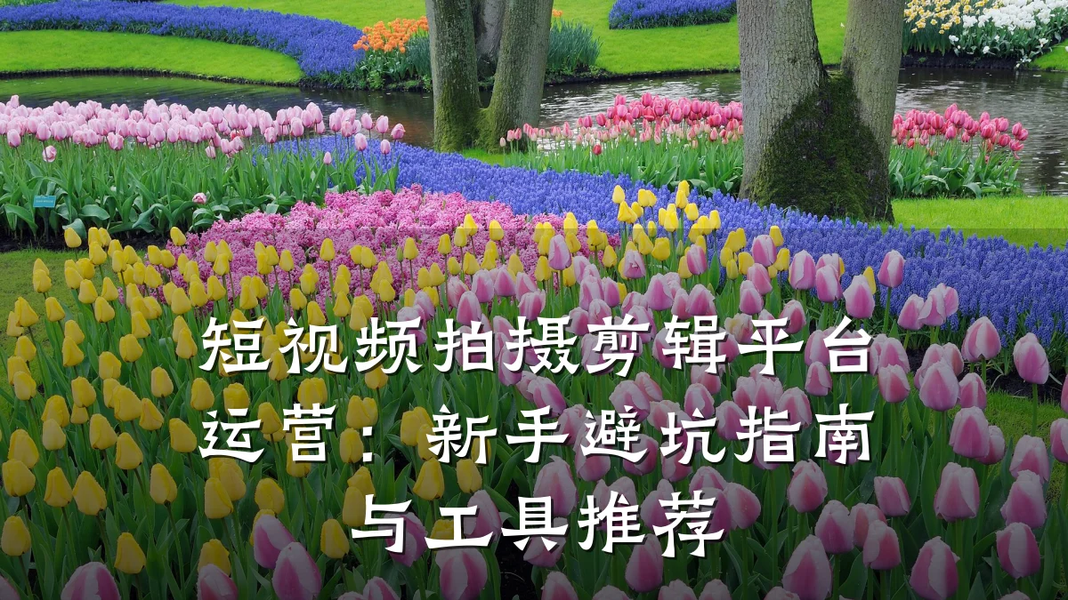 短视频拍摄剪辑平台运营：新手避坑指南与工具推荐