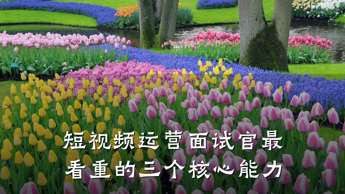 短视频运营面试官最看重的三个核心能力