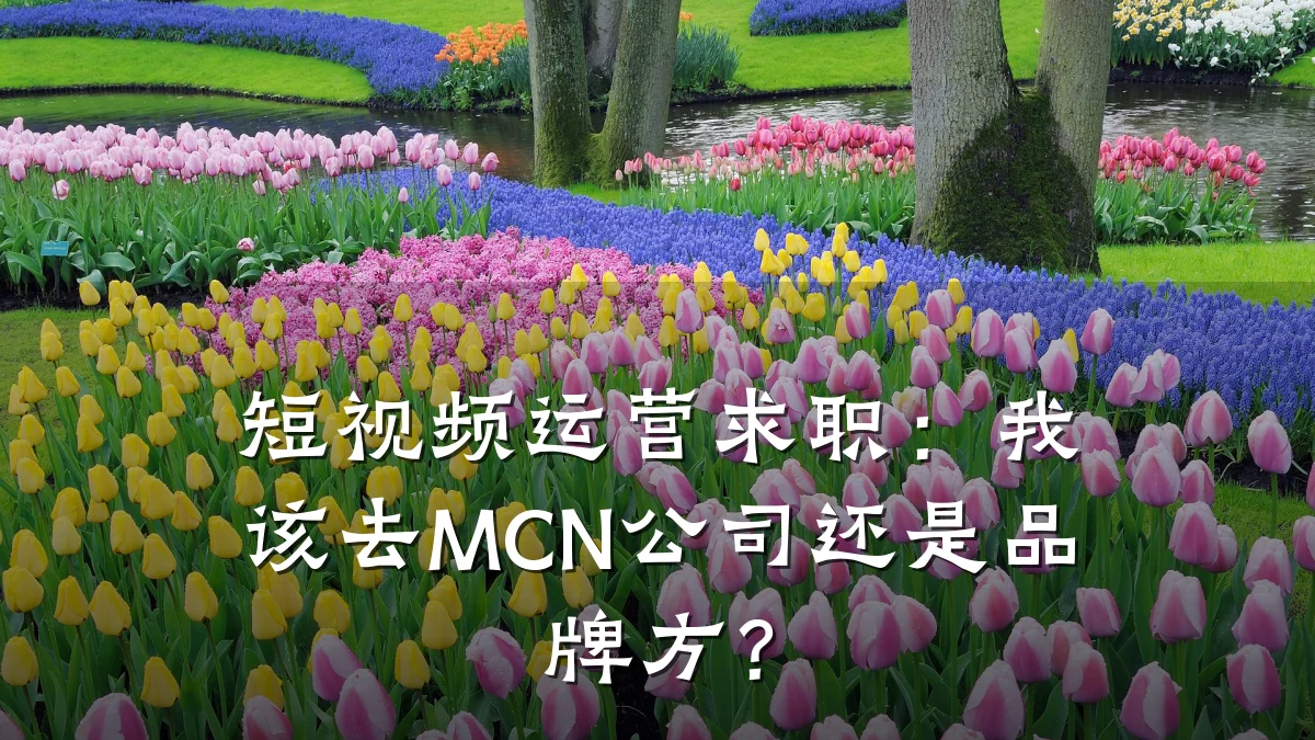 短视频运营求职：我该去MCN公司还是品牌方？