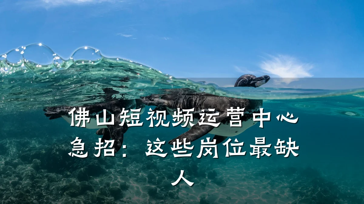 佛山短视频运营中心急招：这些岗位最缺人