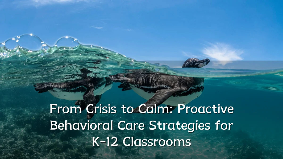 From Crisis to Calm: Proactive Behavioral Care Strategies for K-12 Classrooms