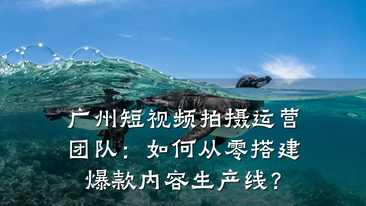 广州短视频拍摄运营团队：如何从零搭建爆款内容生产线？