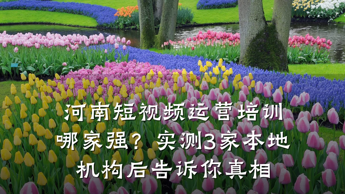 河南短视频运营培训哪家强？实测3家本地机构后告诉你真相