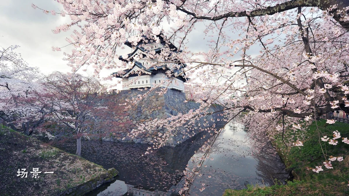 场景一