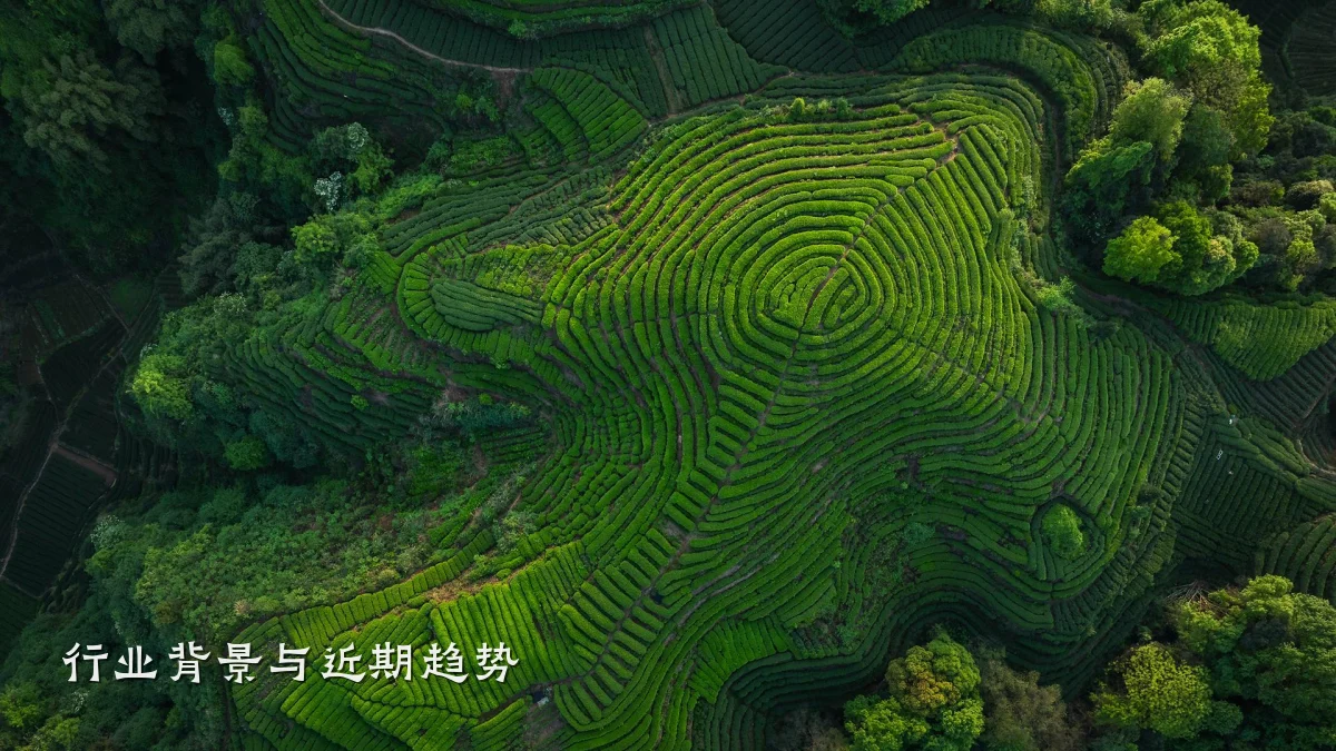 行业背景与近期趋势