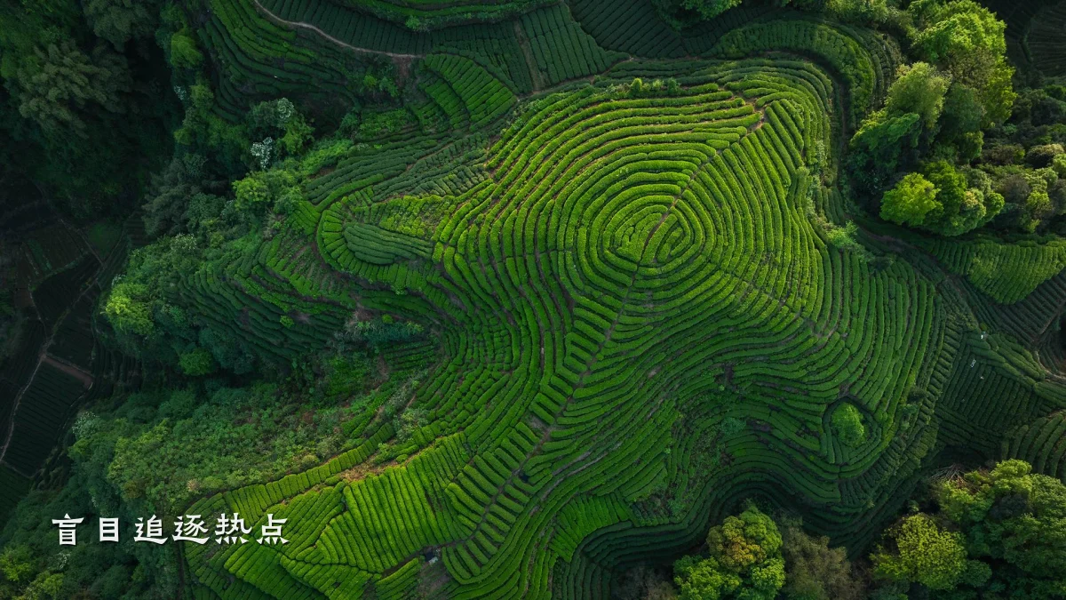 盲目追逐热点
