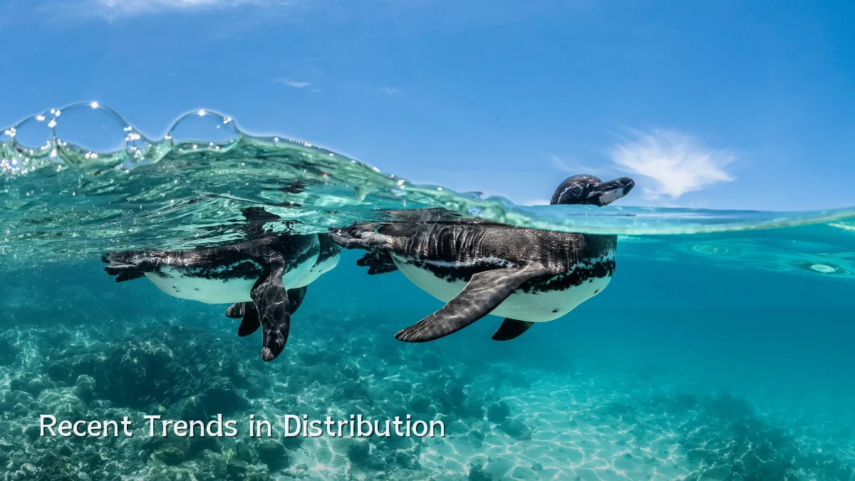 Recent Trends in Distribution
