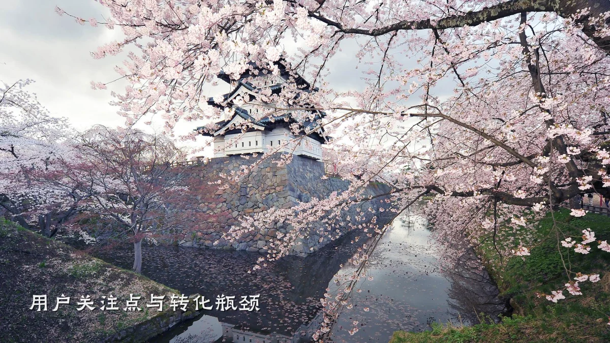 用户关注点与转化瓶颈