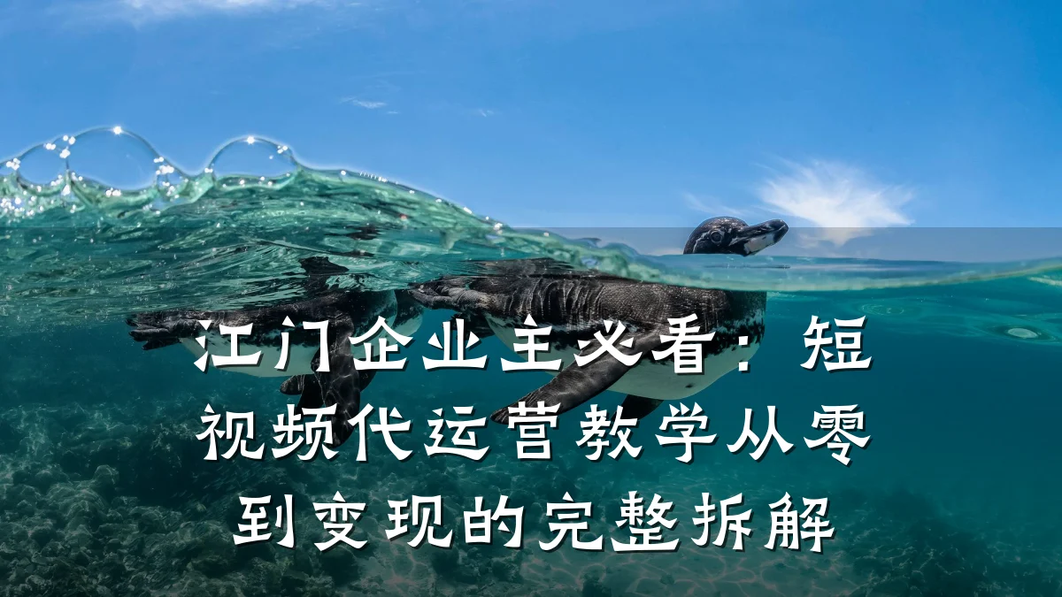 江门企业主必看：短视频代运营教学从零到变现的完整拆解