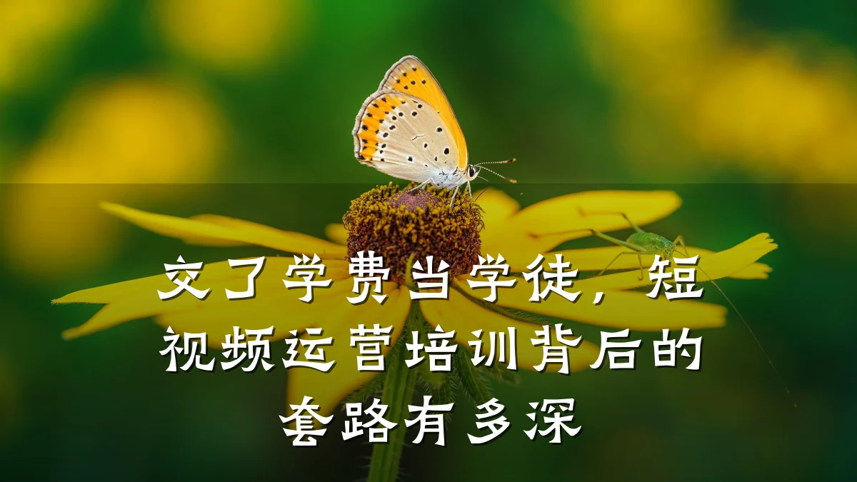 交了学费当学徒，短视频运营培训背后的套路有多深