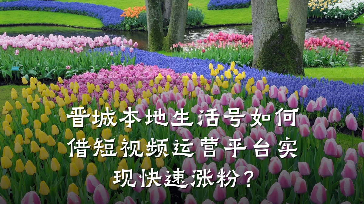 晋城本地生活号如何借短视频运营平台实现快速涨粉？