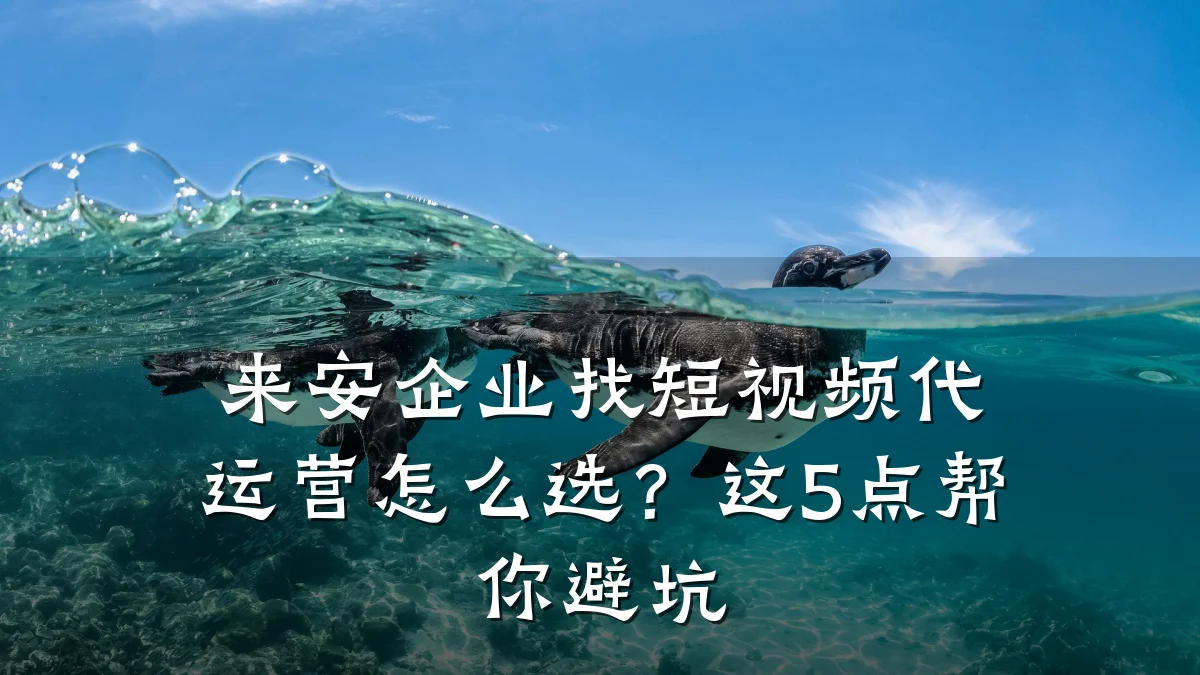 来安企业找短视频代运营怎么选？这5点帮你避坑