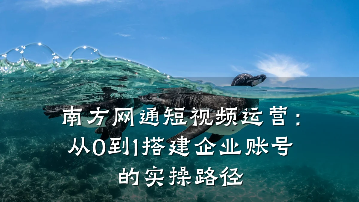 南方网通短视频运营：从0到1搭建企业账号的实操路径