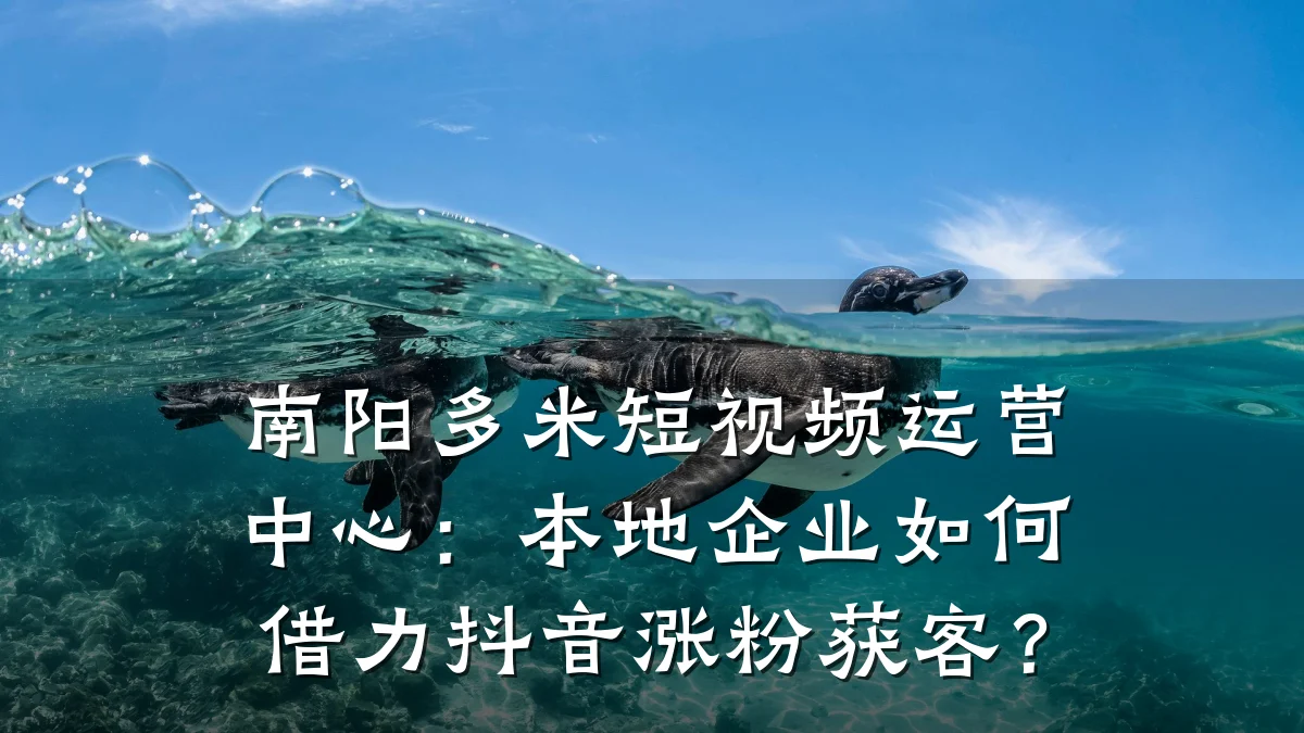 南阳多米短视频运营中心：本地企业如何借力抖音涨粉获客？