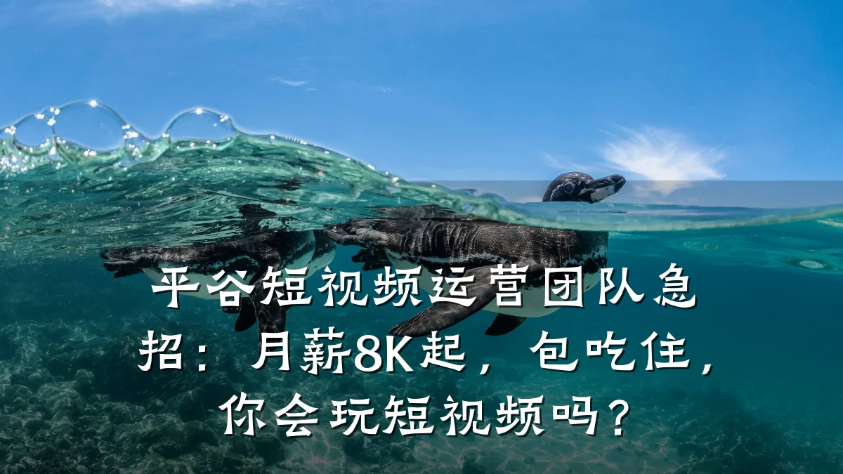平谷短视频运营团队急招：月薪8K起，包吃住，你会玩短视频吗？