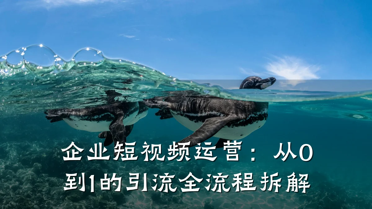 企业短视频运营：从0到1的引流全流程拆解