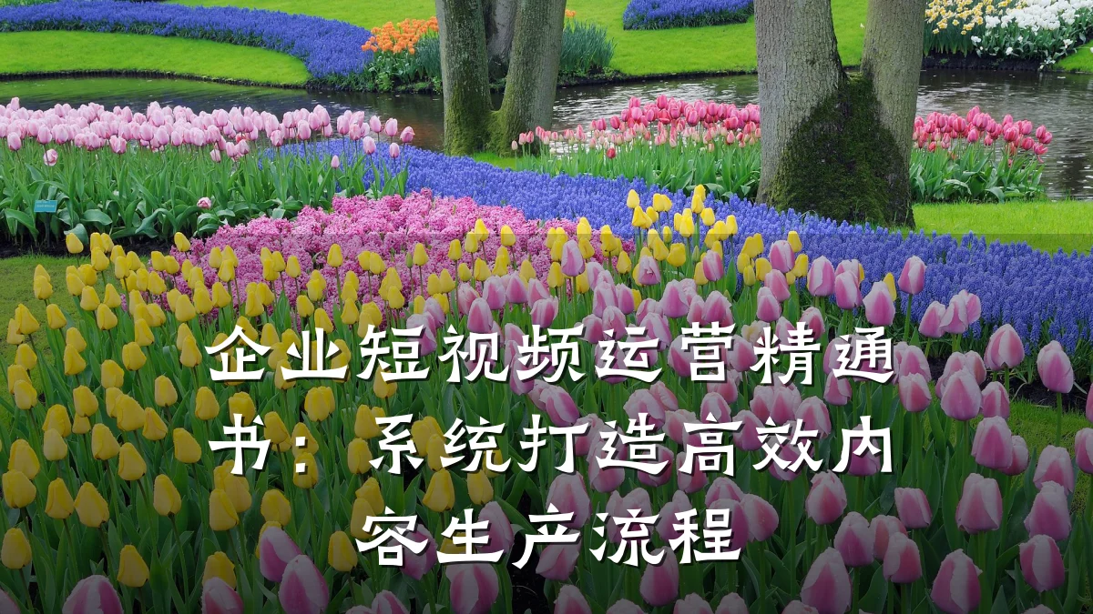 企业短视频运营精通书：系统打造高效内容生产流程