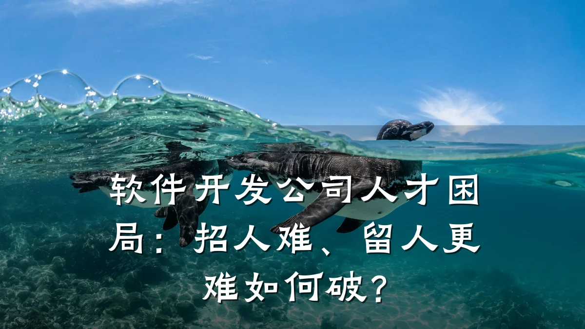 软件开发公司人才困局:招人难、留人更难如何破?