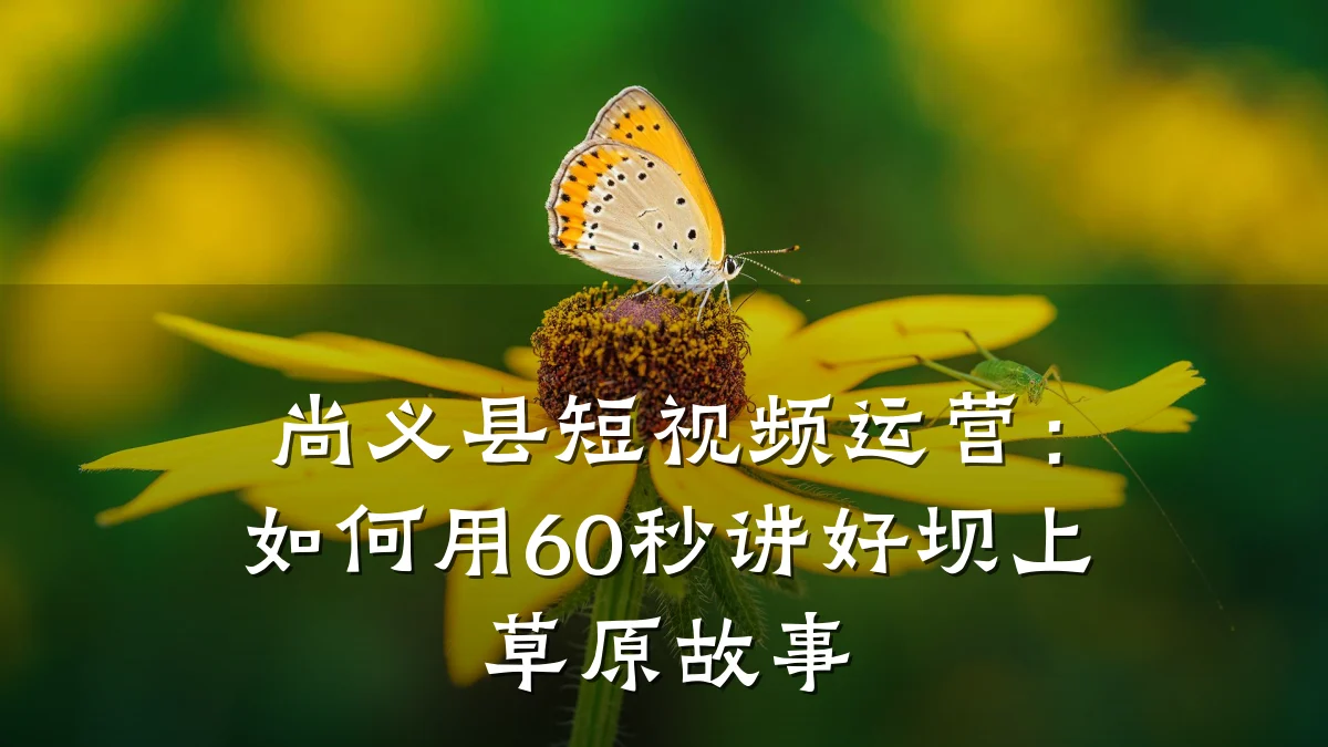 尚义县短视频运营：如何用60秒讲好坝上草原故事