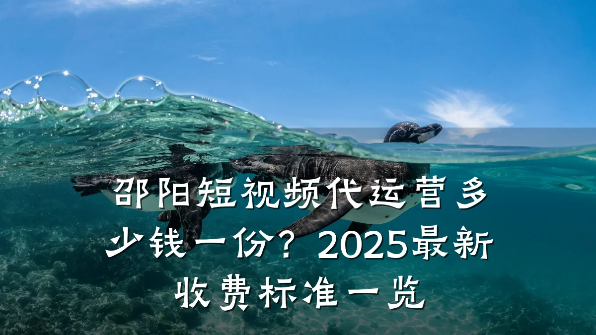 邵阳短视频代运营多少钱一份？2025最新收费标准一览