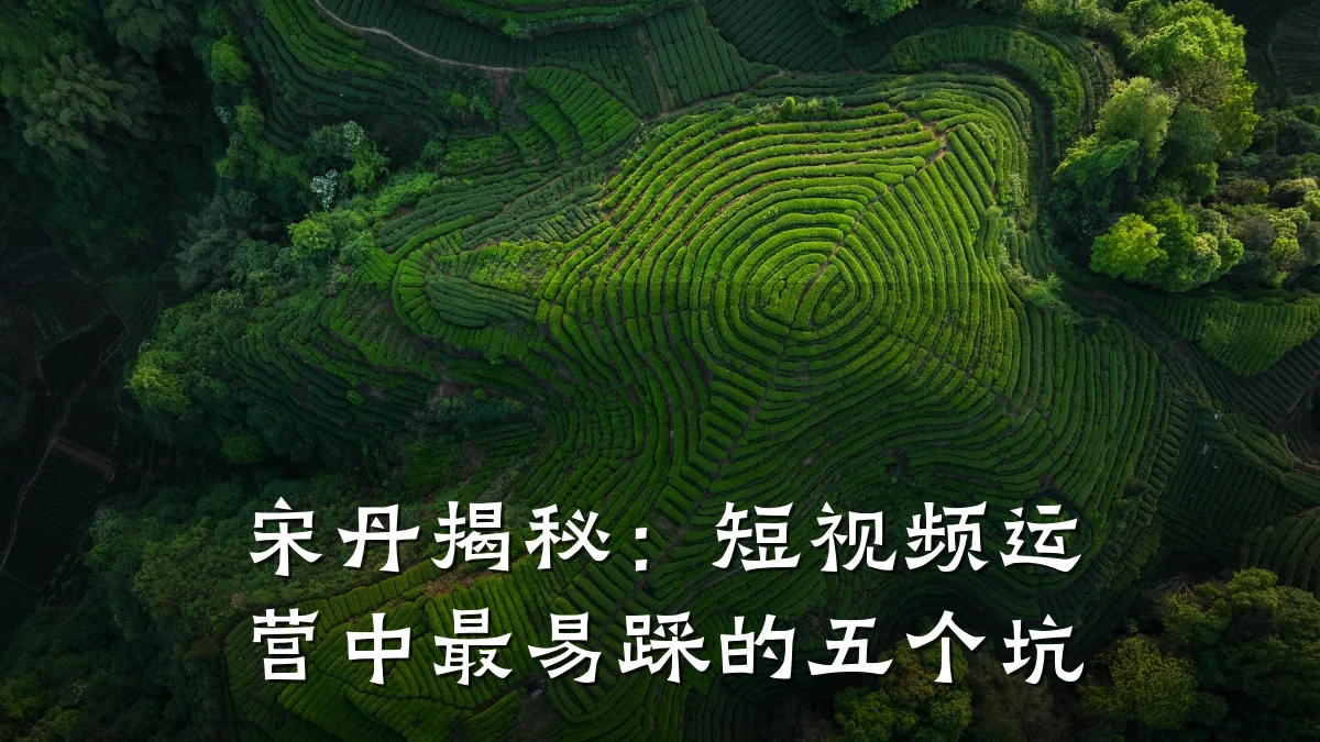 宋丹揭秘：短视频运营中最易踩的五个坑