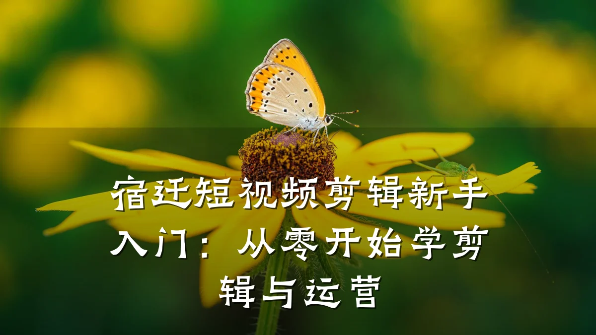 宿迁短视频剪辑新手入门：从零开始学剪辑与运营