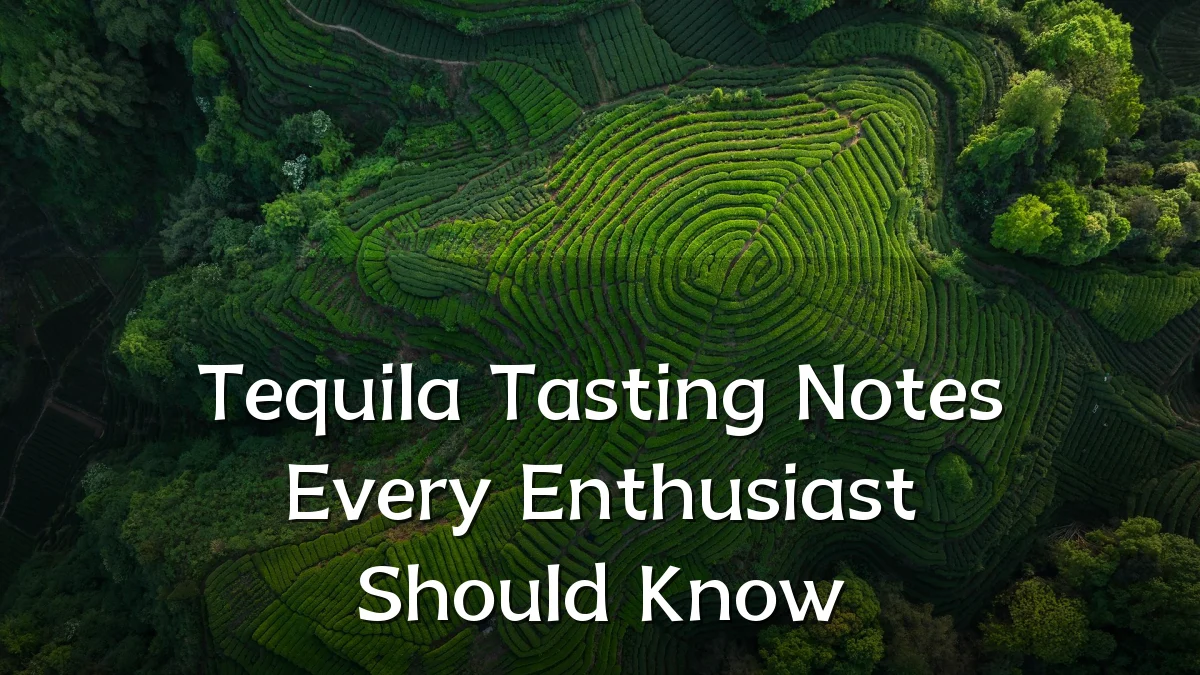 Tequila Tasting Notes Every Enthusiast Should Know