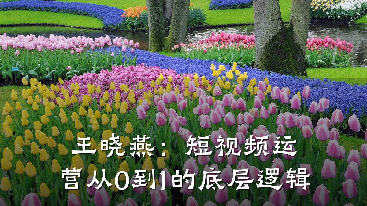 王晓燕：短视频运营从0到1的底层逻辑