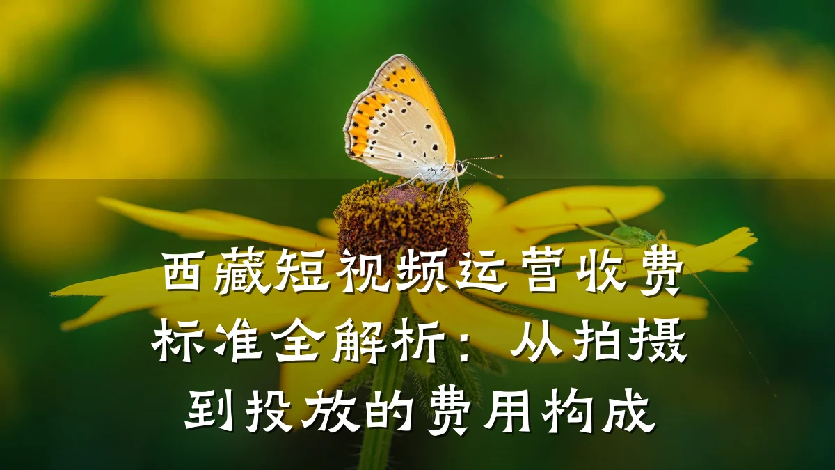 西藏短视频运营收费标准全解析：从拍摄到投放的费用构成