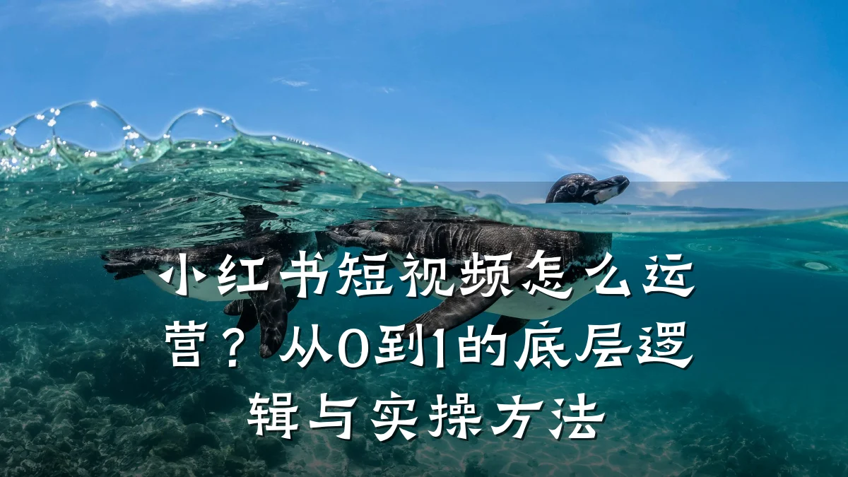 小红书短视频怎么运营？从0到1的底层逻辑与实操方法
