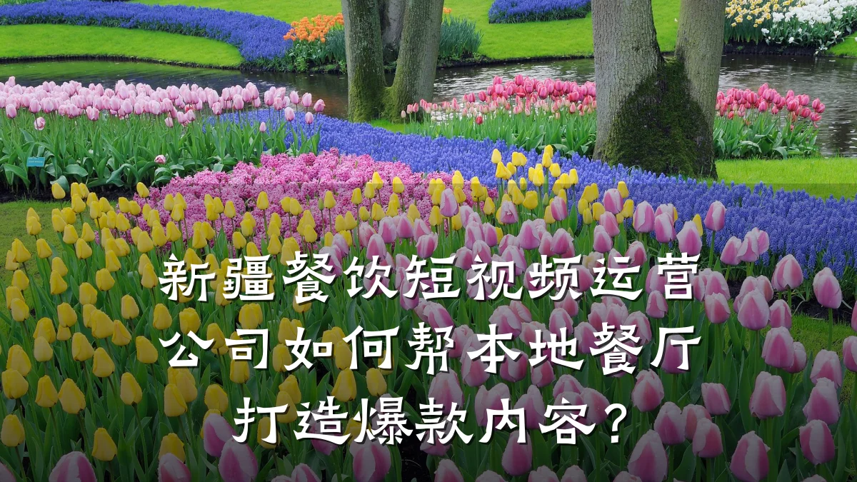 新疆餐饮短视频运营公司如何帮本地餐厅打造爆款内容？