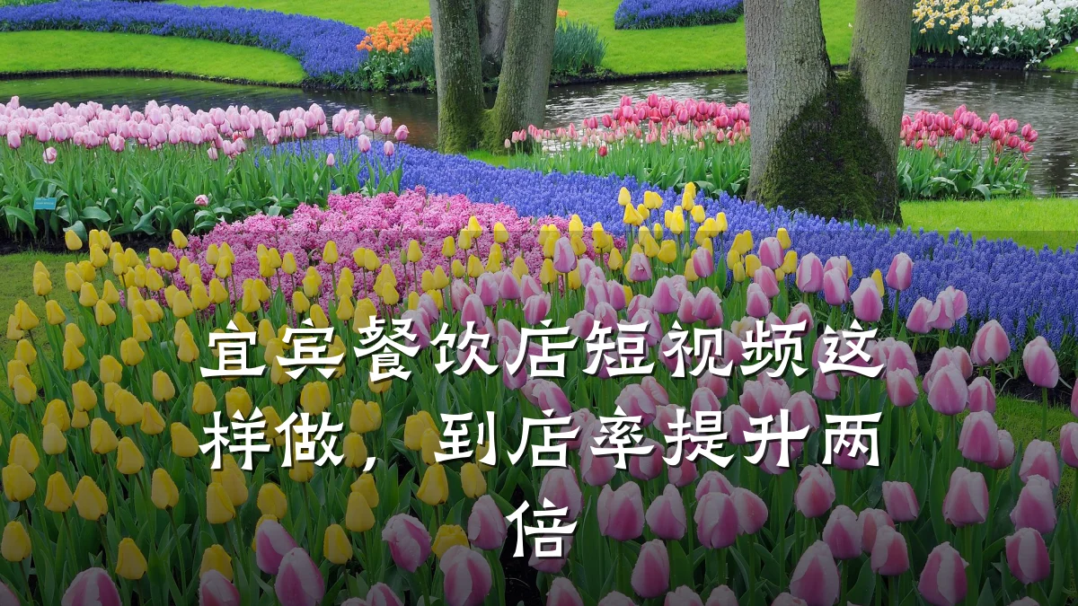 宜宾餐饮店短视频这样做，到店率提升两倍