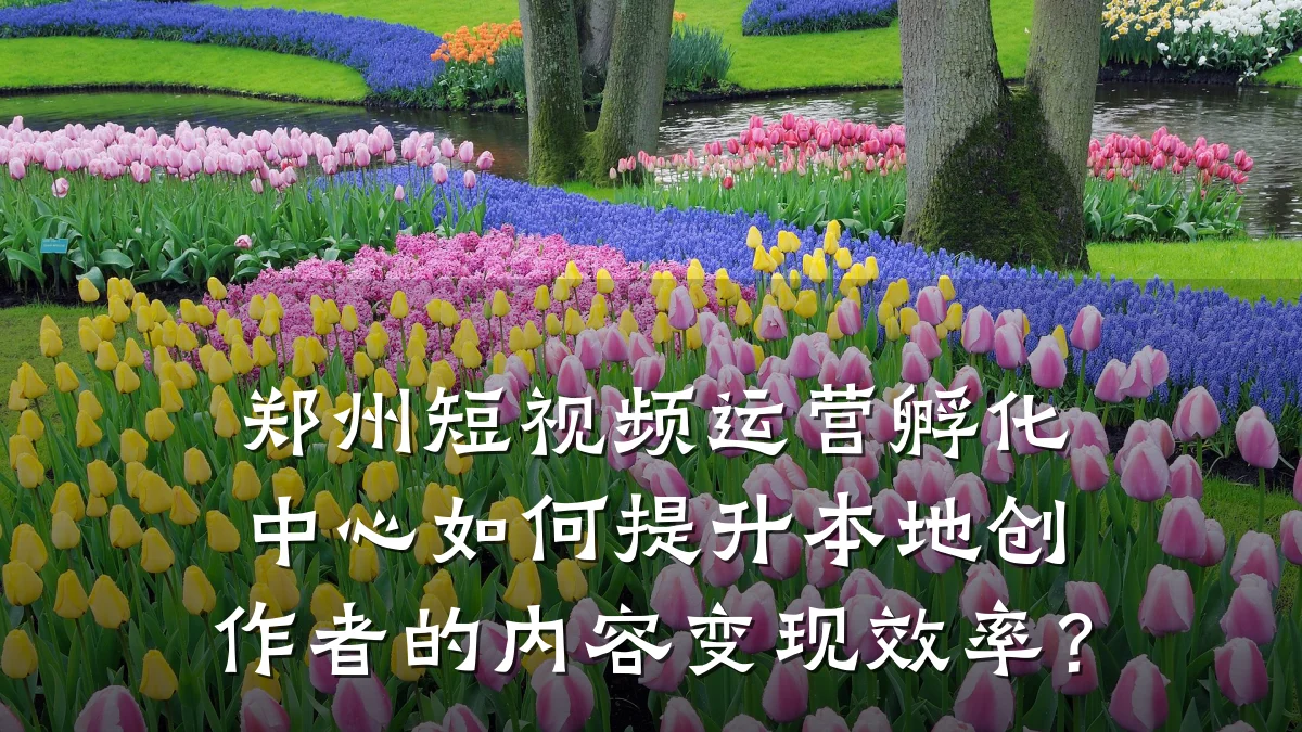 郑州短视频运营孵化中心如何提升本地创作者的内容变现效率？