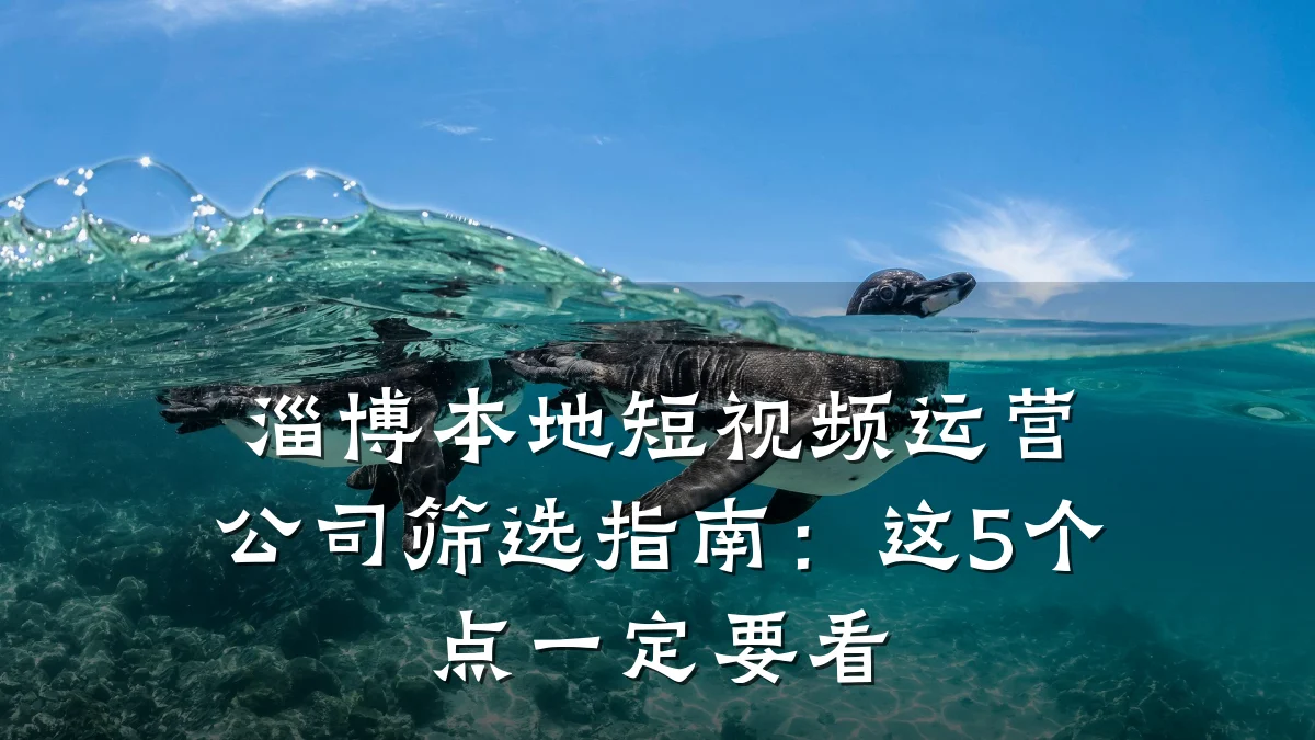 淄博本地短视频运营公司筛选指南：这5个点一定要看