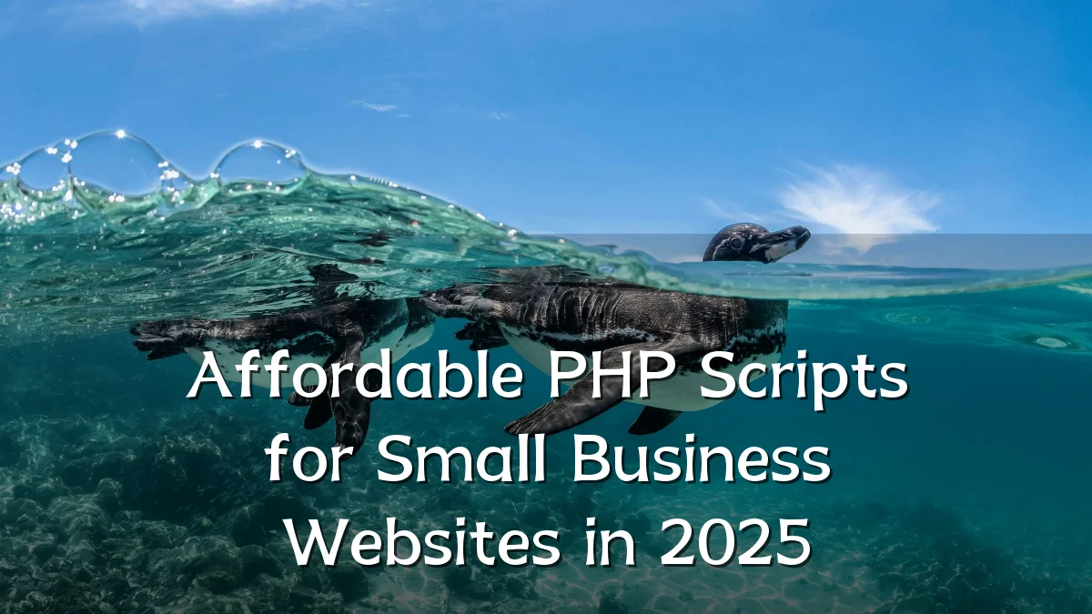 Affordable PHP Scripts for Small Business Websites in 2025