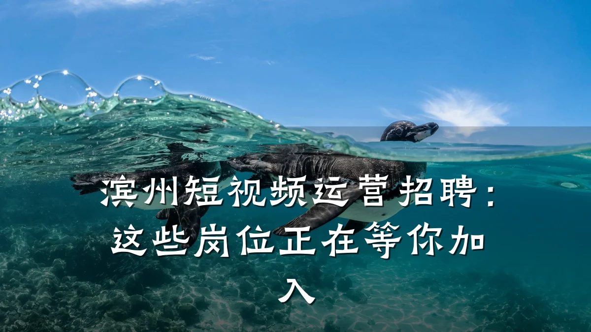 滨州短视频运营招聘：这些岗位正在等你加入