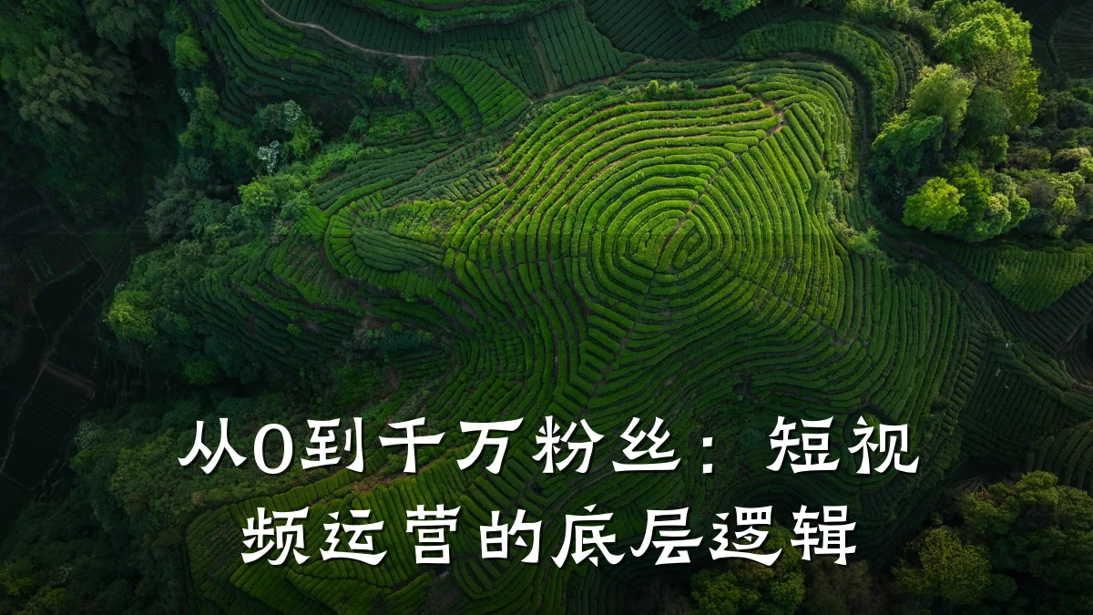 从0到千万粉丝：短视频运营的底层逻辑