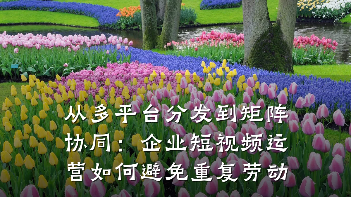 从多平台分发到矩阵协同：企业短视频运营如何避免重复劳动