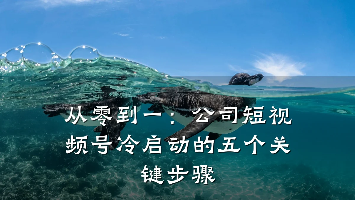 从零到一：公司短视频号冷启动的五个关键步骤