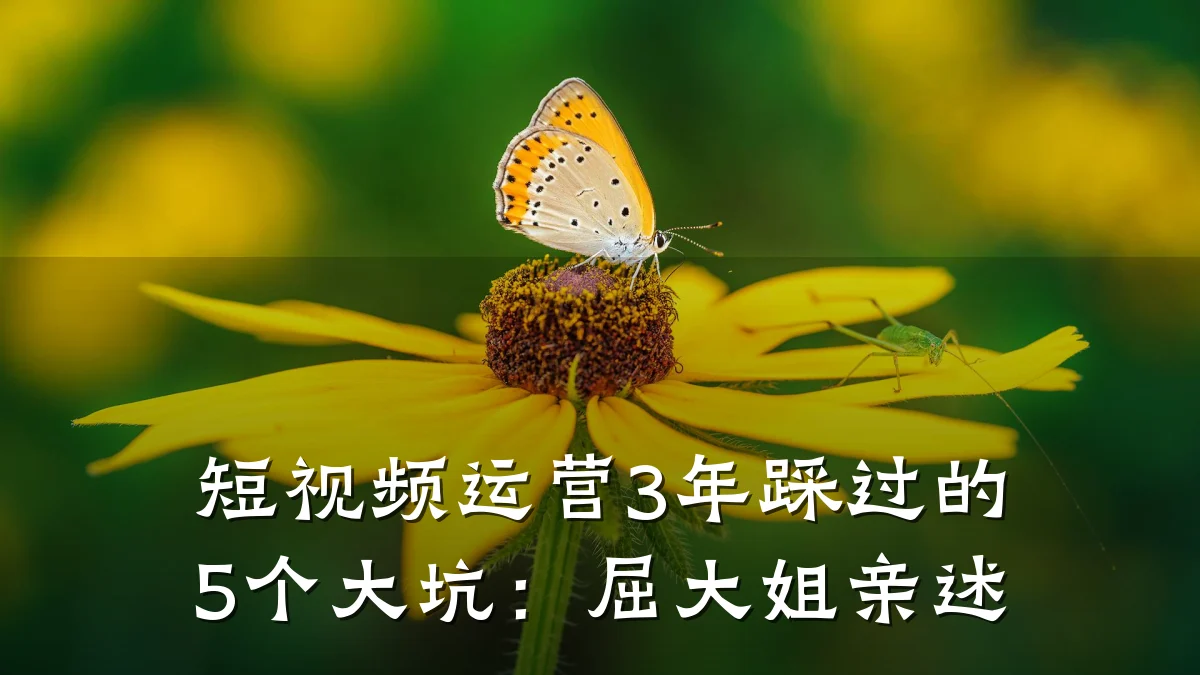 短视频运营3年踩过的5个大坑：屈大姐亲述