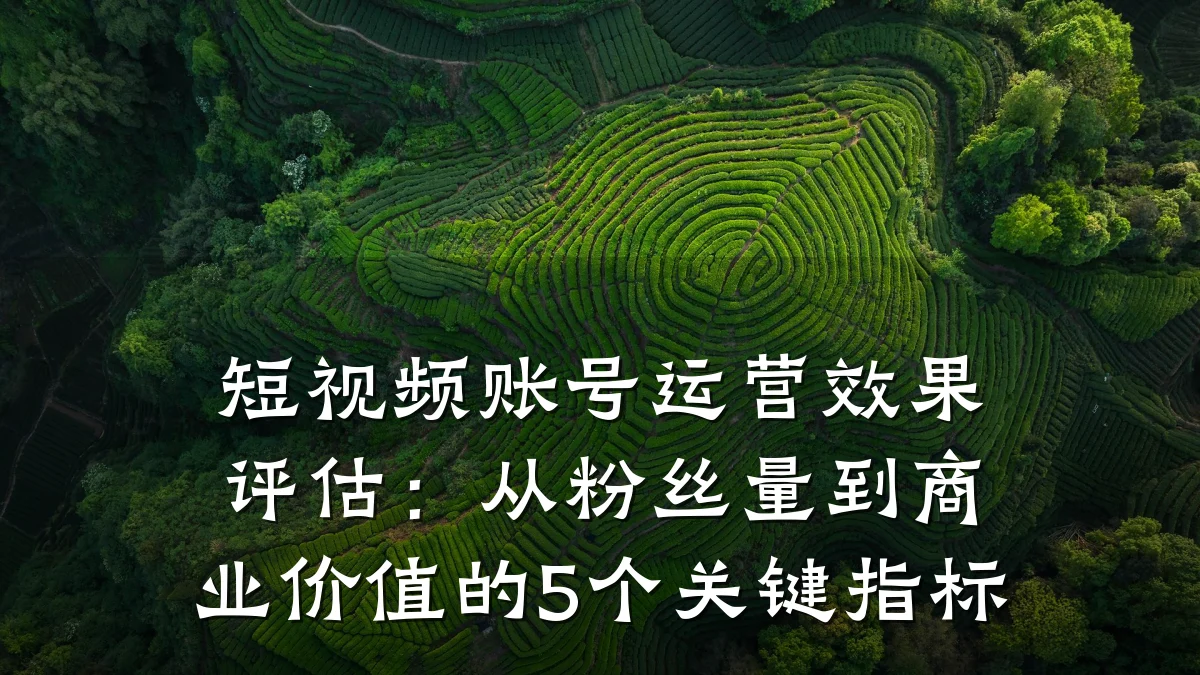 短视频账号运营效果评估：从粉丝量到商业价值的5个关键指标