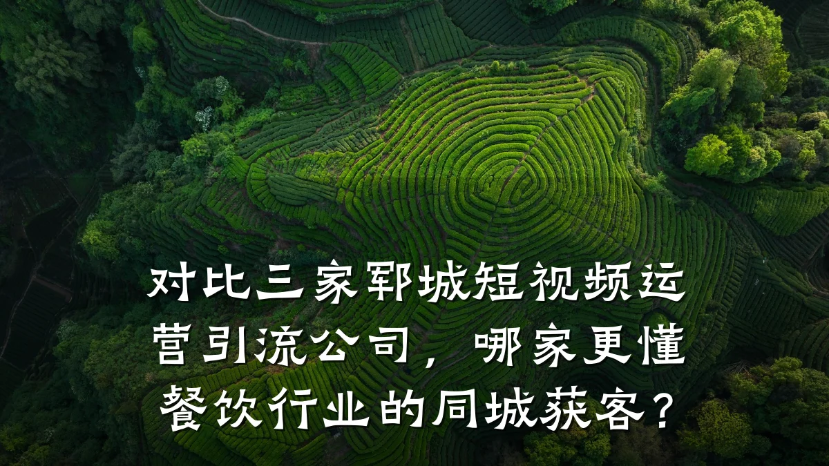 对比三家郓城短视频运营引流公司，哪家更懂餐饮行业的同城获客？