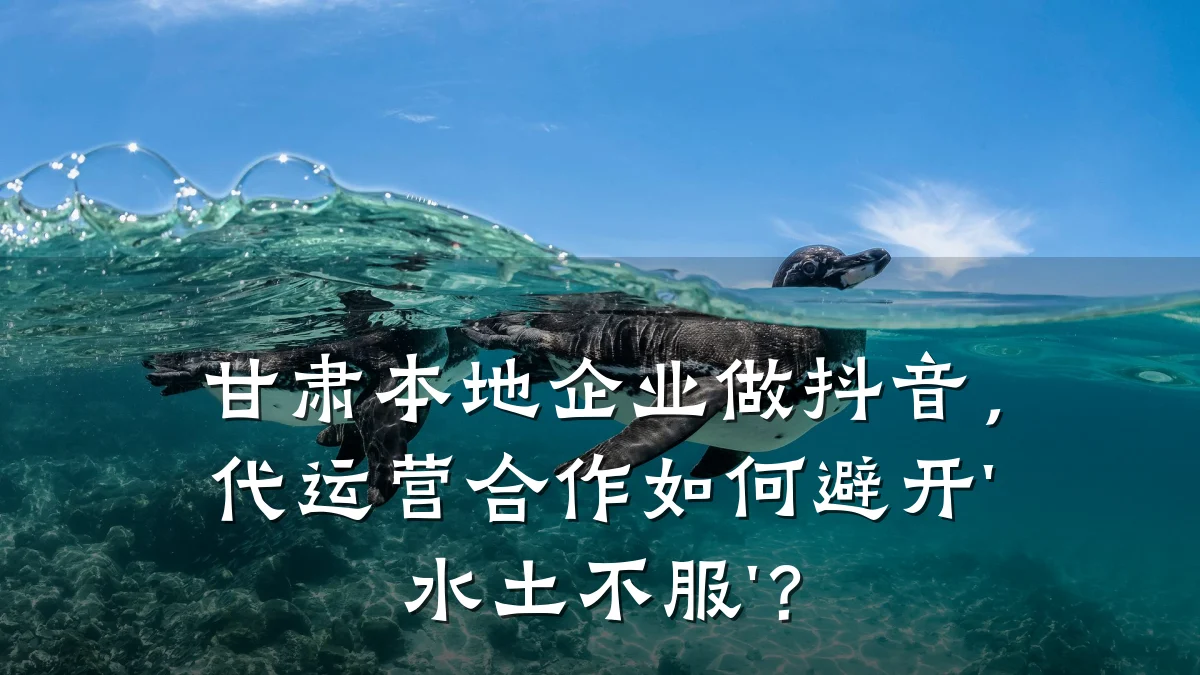 甘肃本地企业做抖音，代运营合作如何避开'水土不服'？
