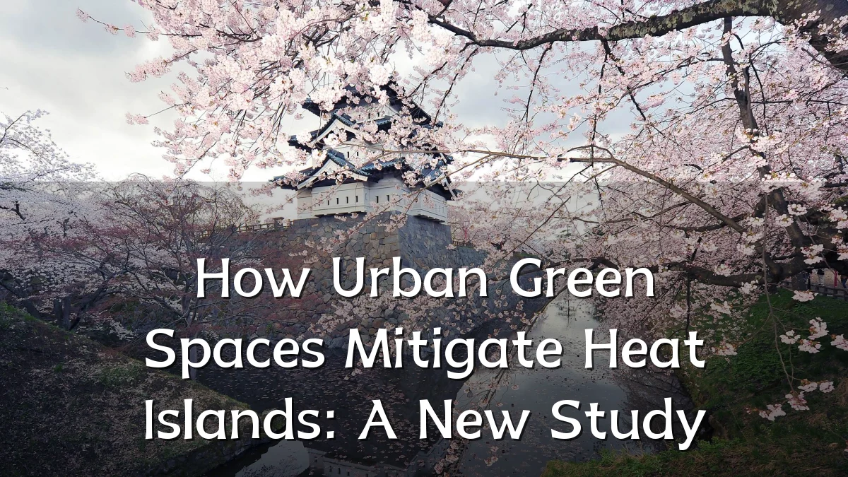 How Urban Green Spaces Mitigate Heat Islands: A New Study
