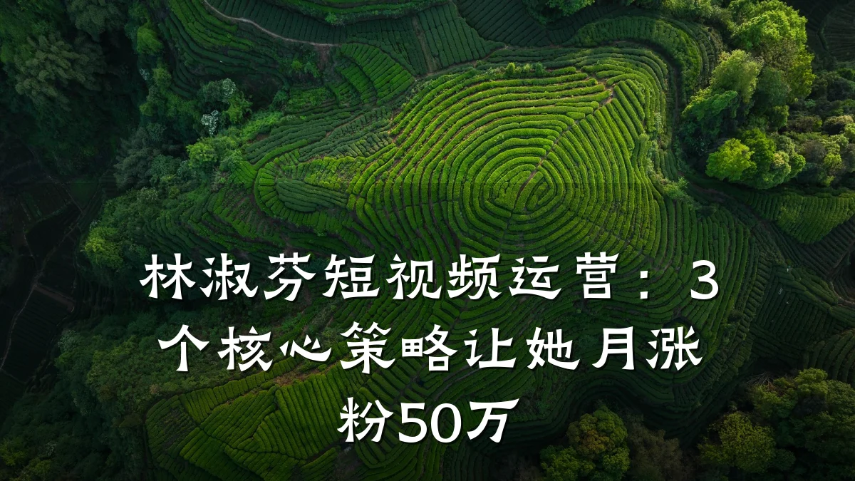 林淑芬短视频运营：3个核心策略让她月涨粉50万
