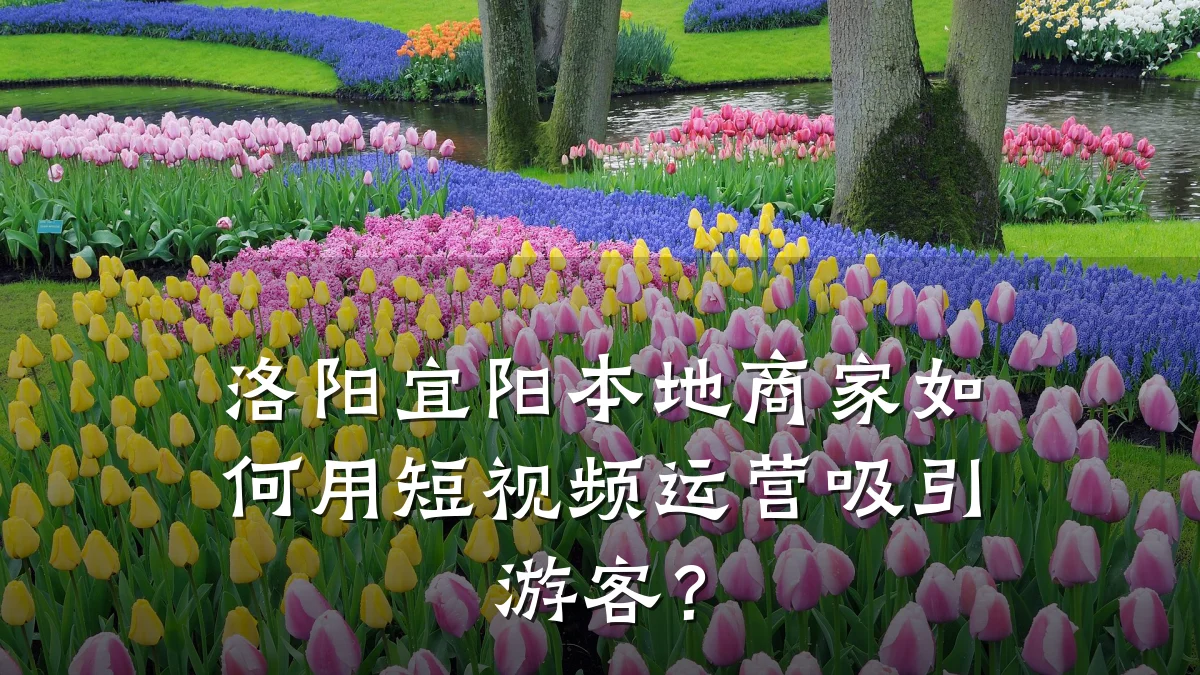洛阳宜阳本地商家如何用短视频运营吸引游客？
