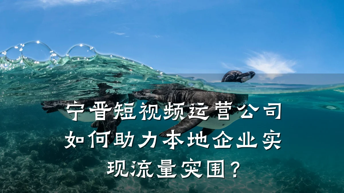 宁晋短视频运营公司如何助力本地企业实现流量突围？