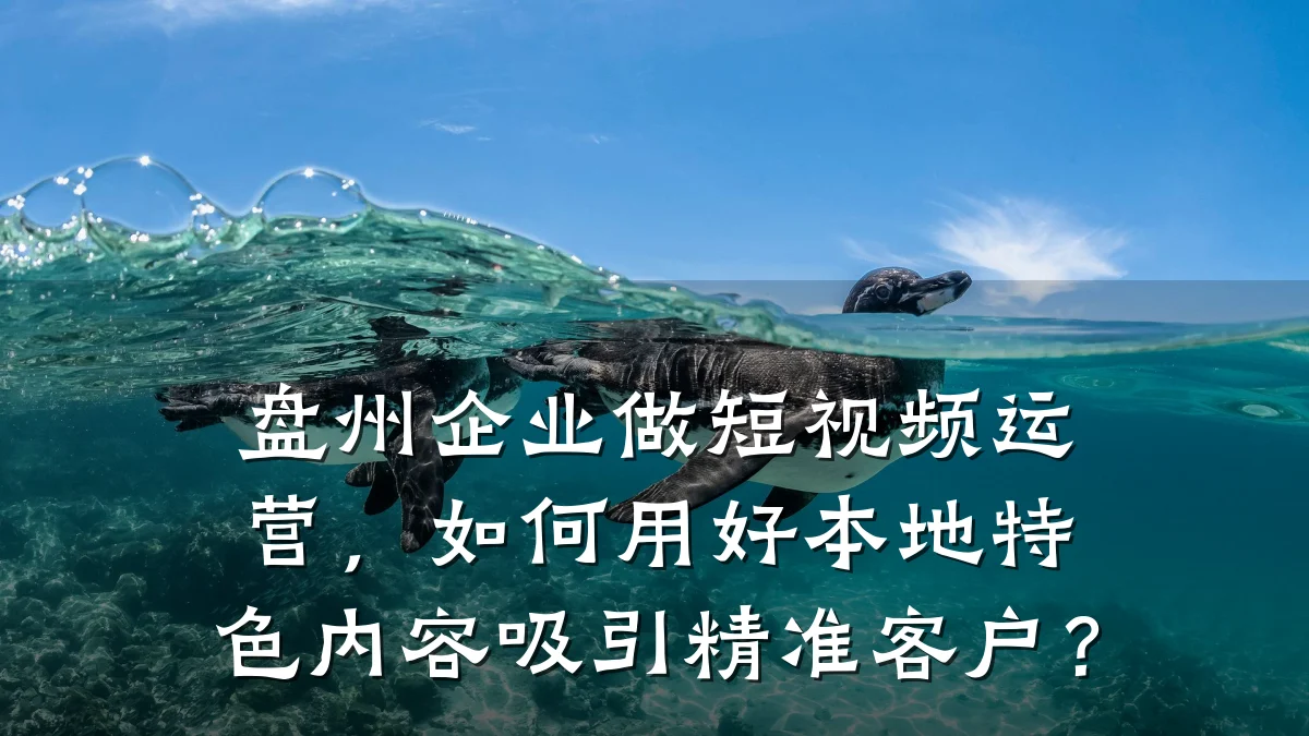 盘州企业做短视频运营，如何用好本地特色内容吸引精准客户？
