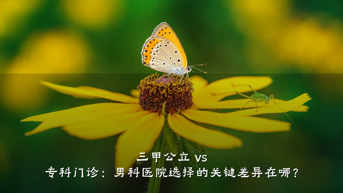 三甲公立 vs 专科门诊:男科医院选择的关键差异在哪?